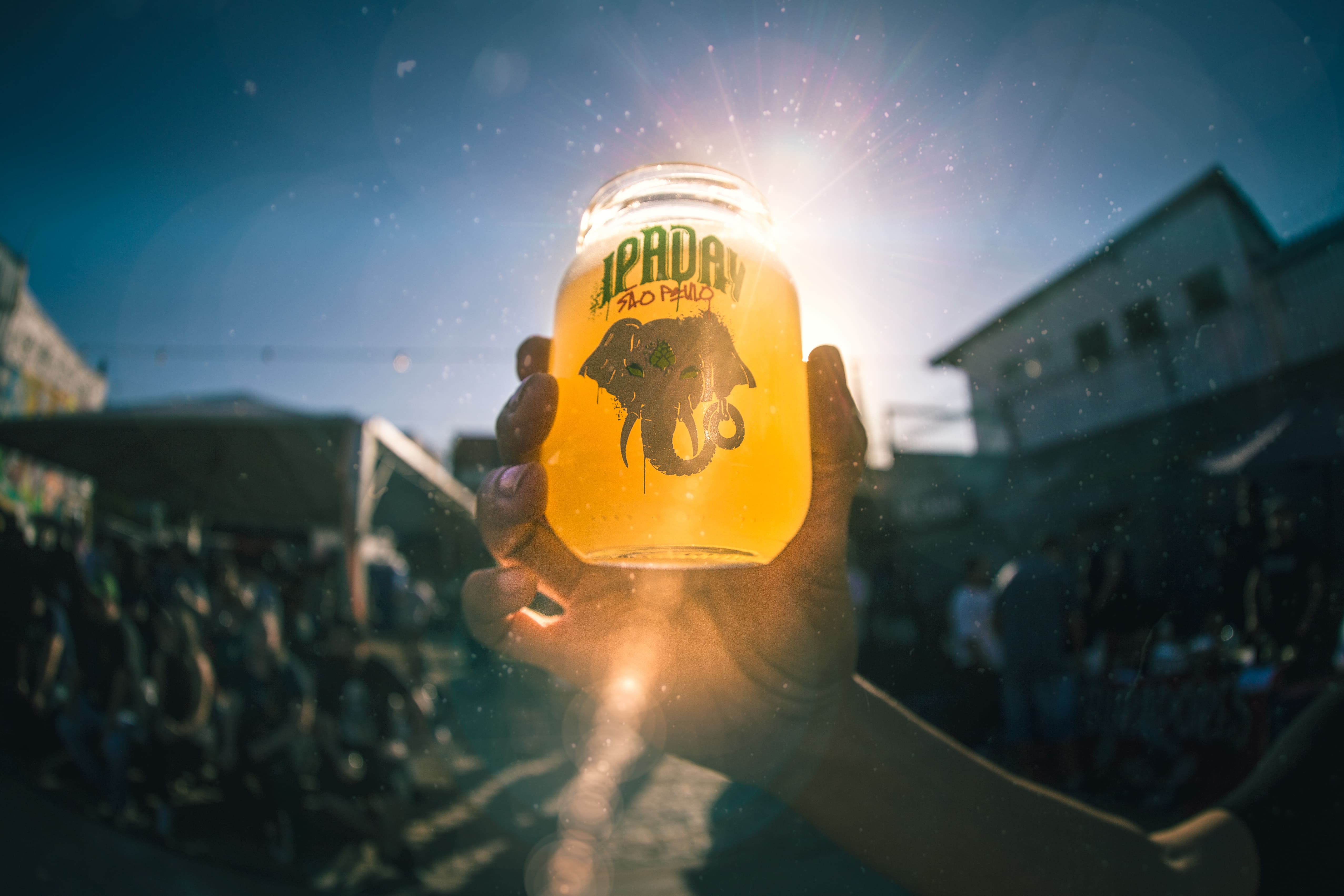 IPA Day São Paulo